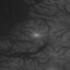 heightmap